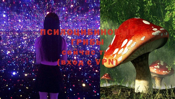 прущая мука Алзамай