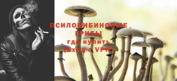дмт Алексин