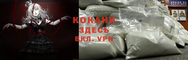 кокс Арсеньев