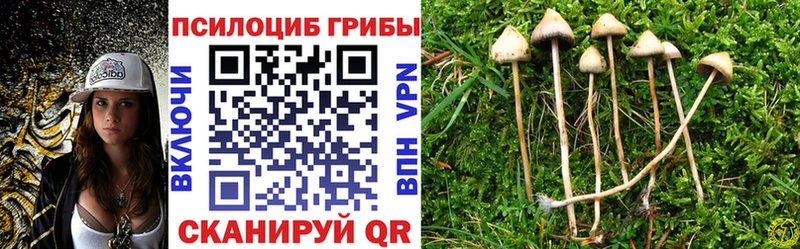 маркетплейс телеграм  Тогучин  Псилоцибиновые грибы мухоморы 