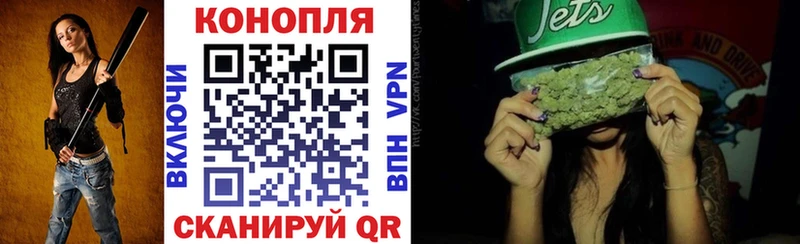 Конопля план  цены   Тогучин 